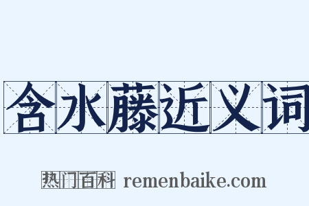 含水藤近义词是什么意思的图片